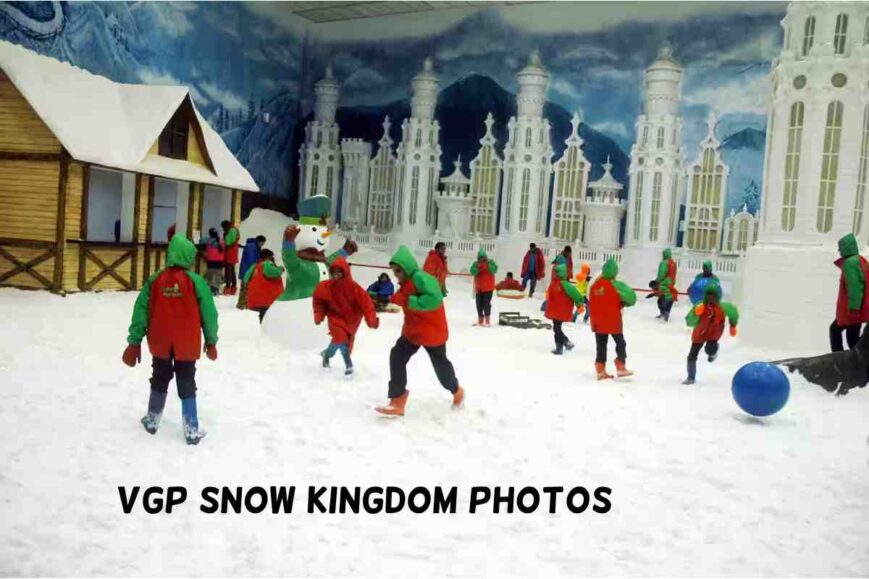 Vgp Snow Kingdom Photos