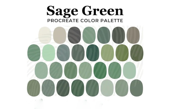 Sage Green Character_i3bdevjddjc= Color Palette 